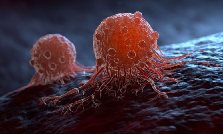 Cancer : un nouveau médicament contre les tumeurs et les métastases
