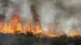 Algérie: Une nouvelle vague d'incendies ravage le nord du pays