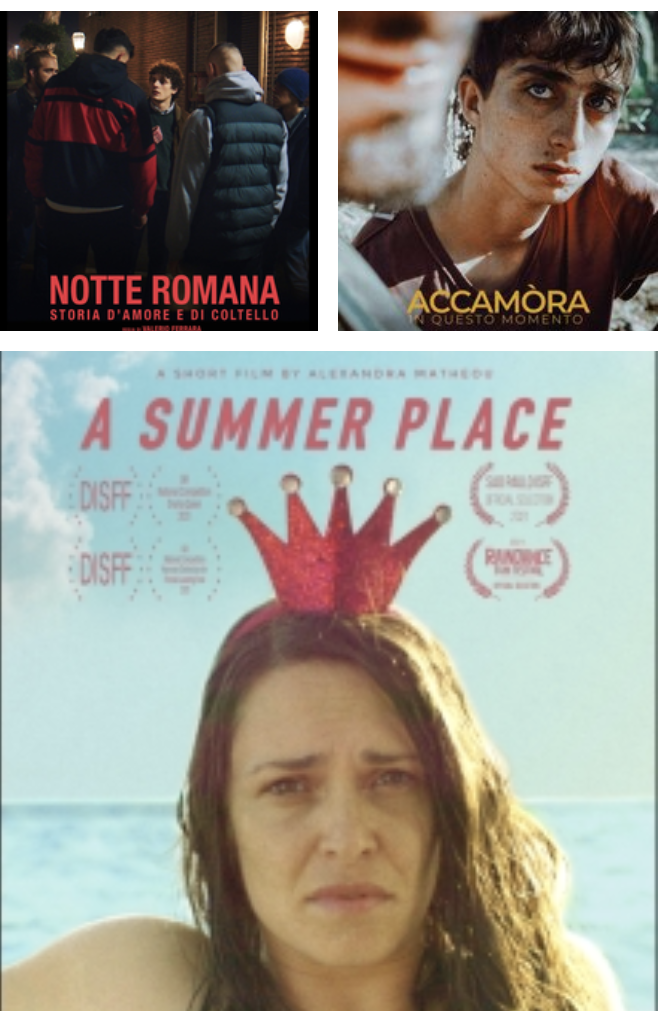film A SUMMER PLACE / THE TREES NOTTE ROMANA / ACCAMORA V 