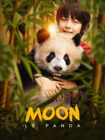 Moon le panda