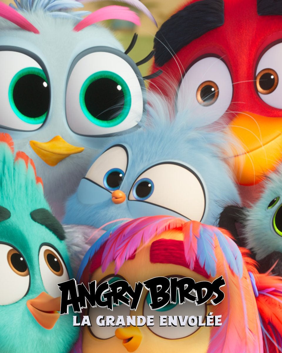 Angry birds : la grande envolée