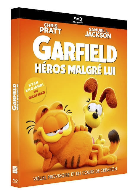 garfield-heros-malgre-lui-1